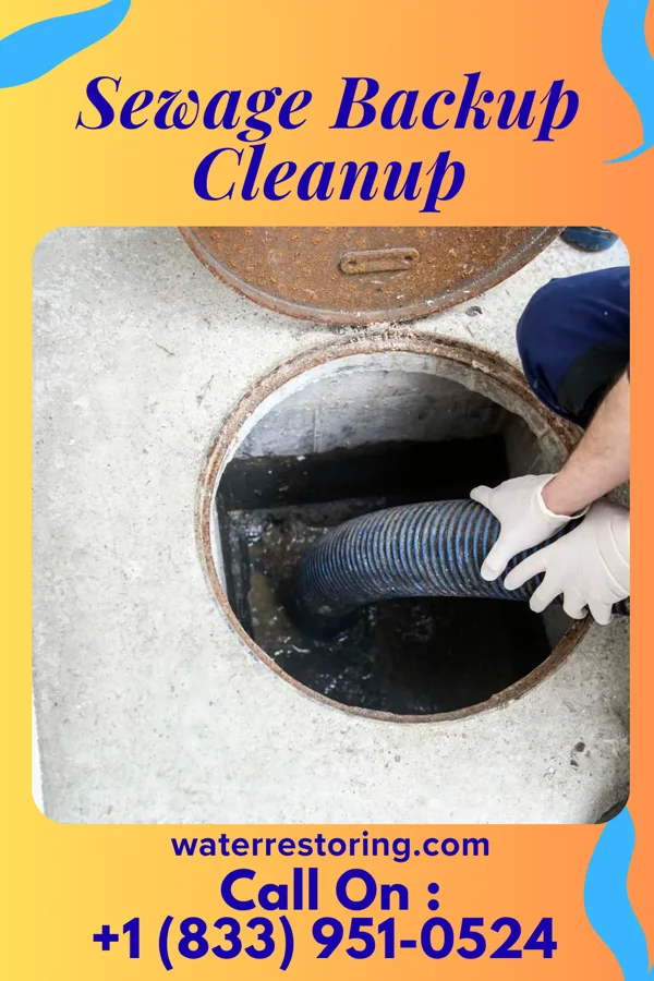Sewage Backup Cleanup in Robins, IA